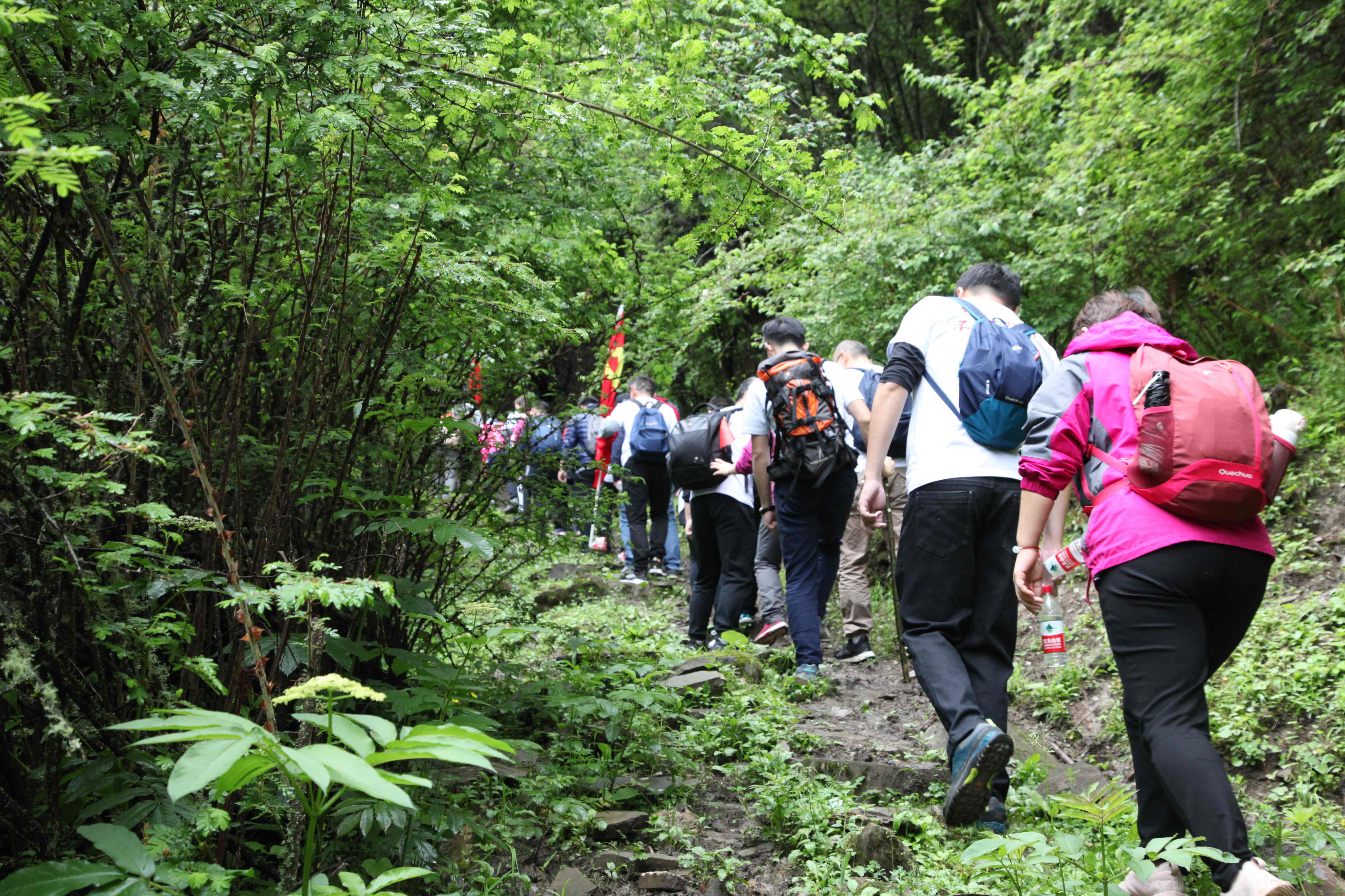 1593399835143092638.jpg 1593399835143092638.jpg